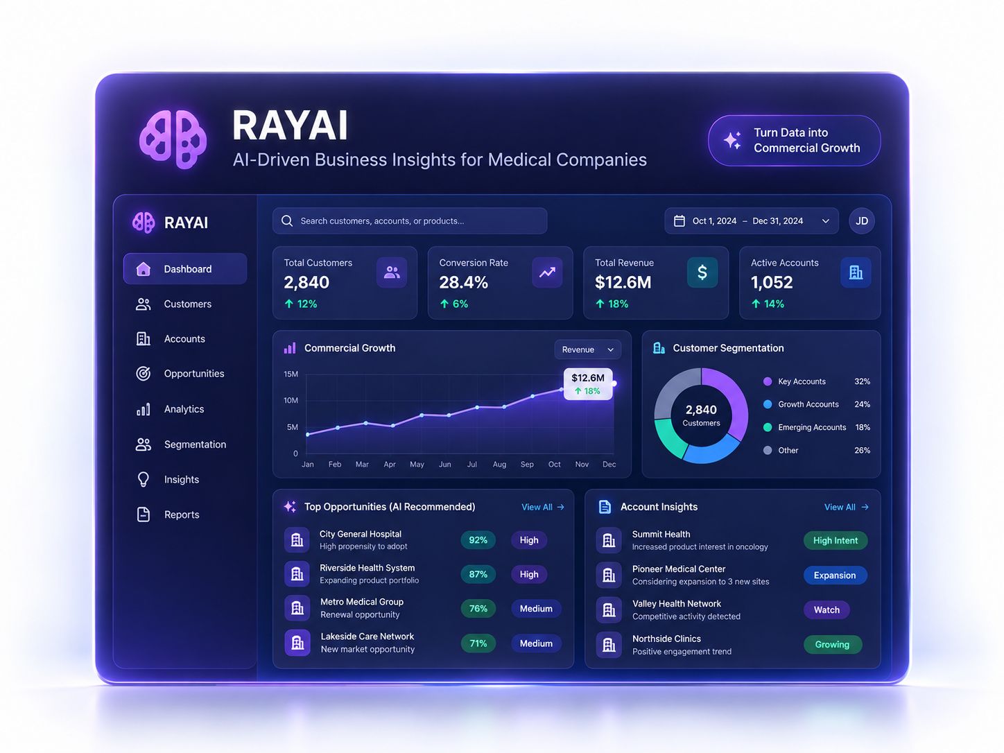RAYAI — Find insight in your data (screen for reference only).